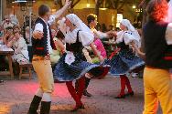 Fil Franck Tours - Tours in  - Folklore Party with Dinner